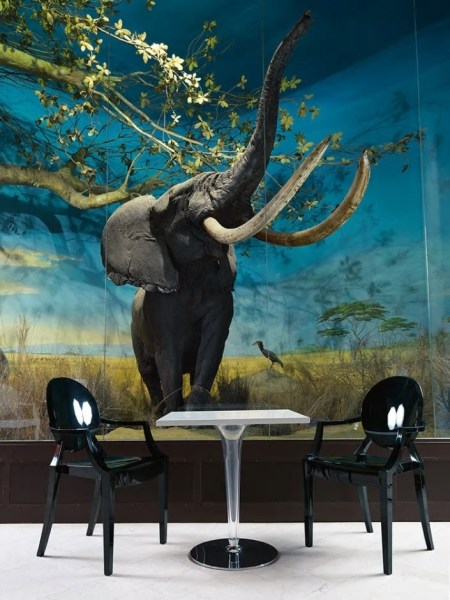 No hay imagen establecida 